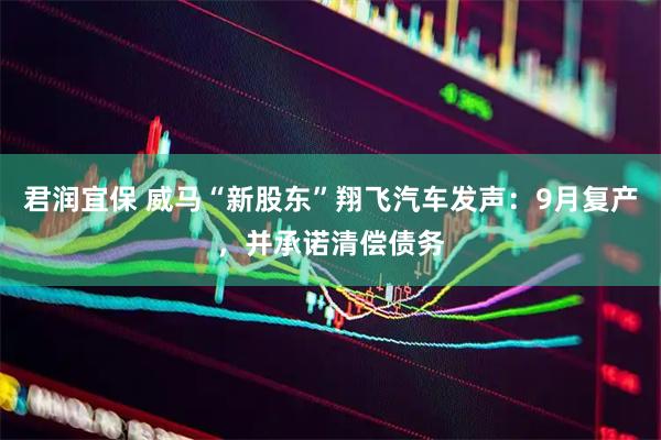 君润宜保 威马“新股东”翔飞汽车发声：9月复产，并承诺清偿债务