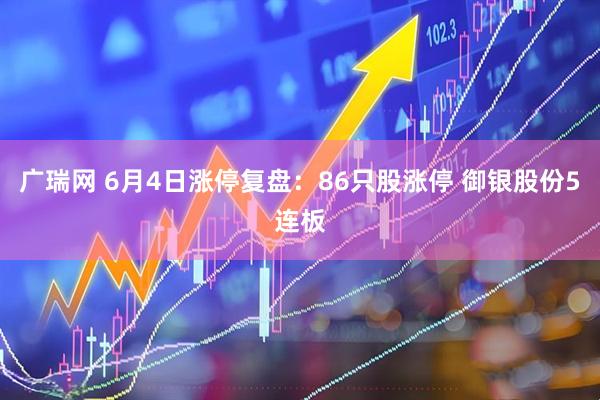 广瑞网 6月4日涨停复盘：86只股涨停 御银股份5连板