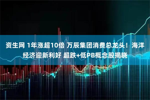 资生网 1年涨超10倍 万辰集团消费总龙头！海洋经济迎新利好 超跌+低PB概念股揭晓