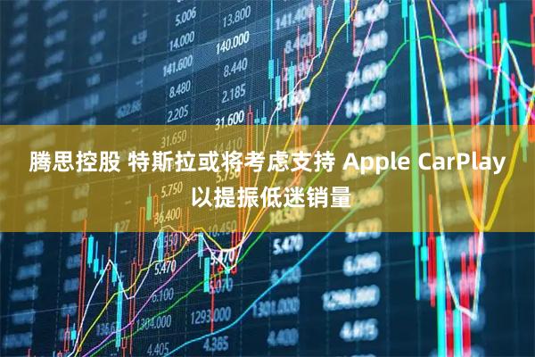 腾思控股 特斯拉或将考虑支持 Apple CarPlay 以提振低迷销量
