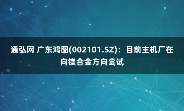 通弘网 广东鸿图(002101.SZ)：目前主机厂在向镁合金方向尝试
