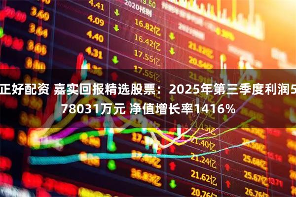 正好配资 嘉实回报精选股票：2025年第三季度利润578031万元 净值增长率1416%