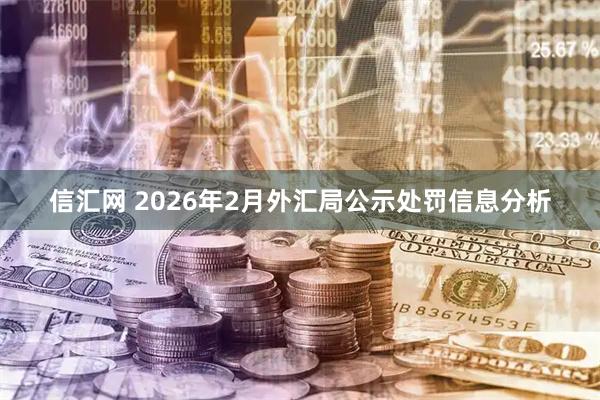 信汇网 2026年2月外汇局公示处罚信息分析